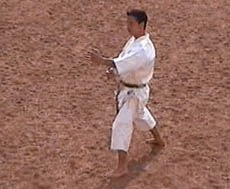 Ushiro geri